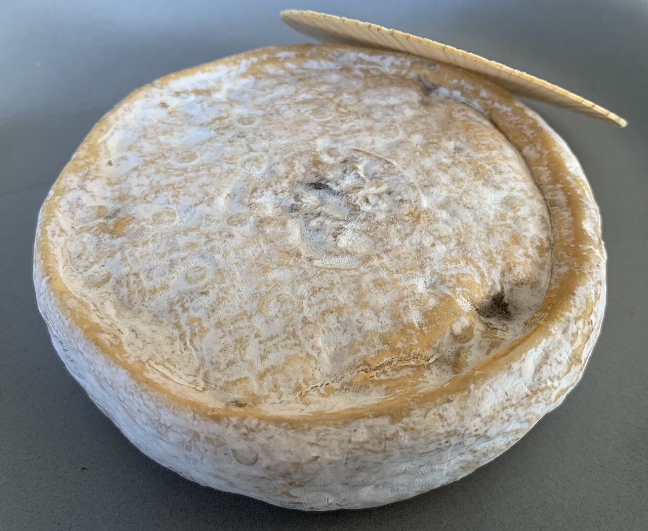 Chevrotin : Fromage AOP Chevrotin, photo petit fromage de chèvre savoyard