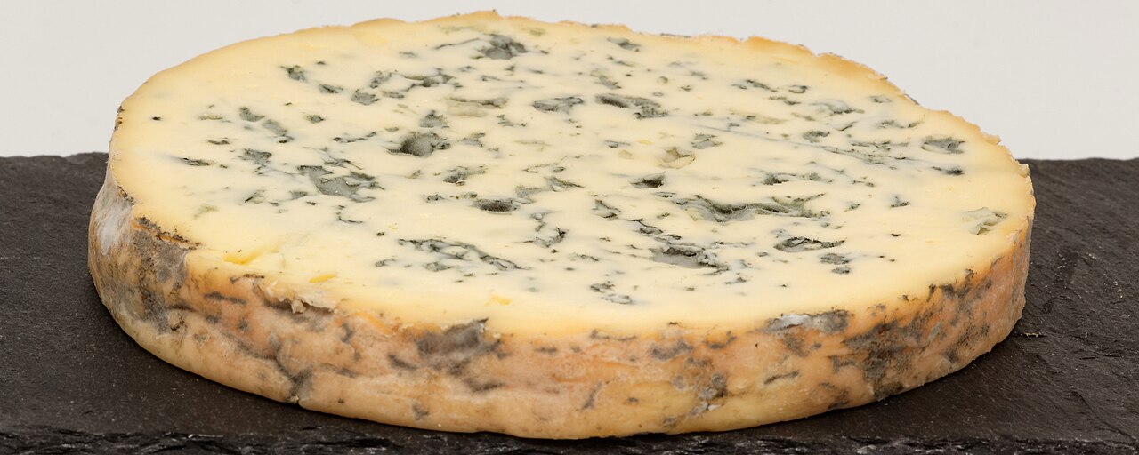 Fourme d'Ambert : Fromage bleu AOP Fourme d'Ambert, photo fromage auvergnat