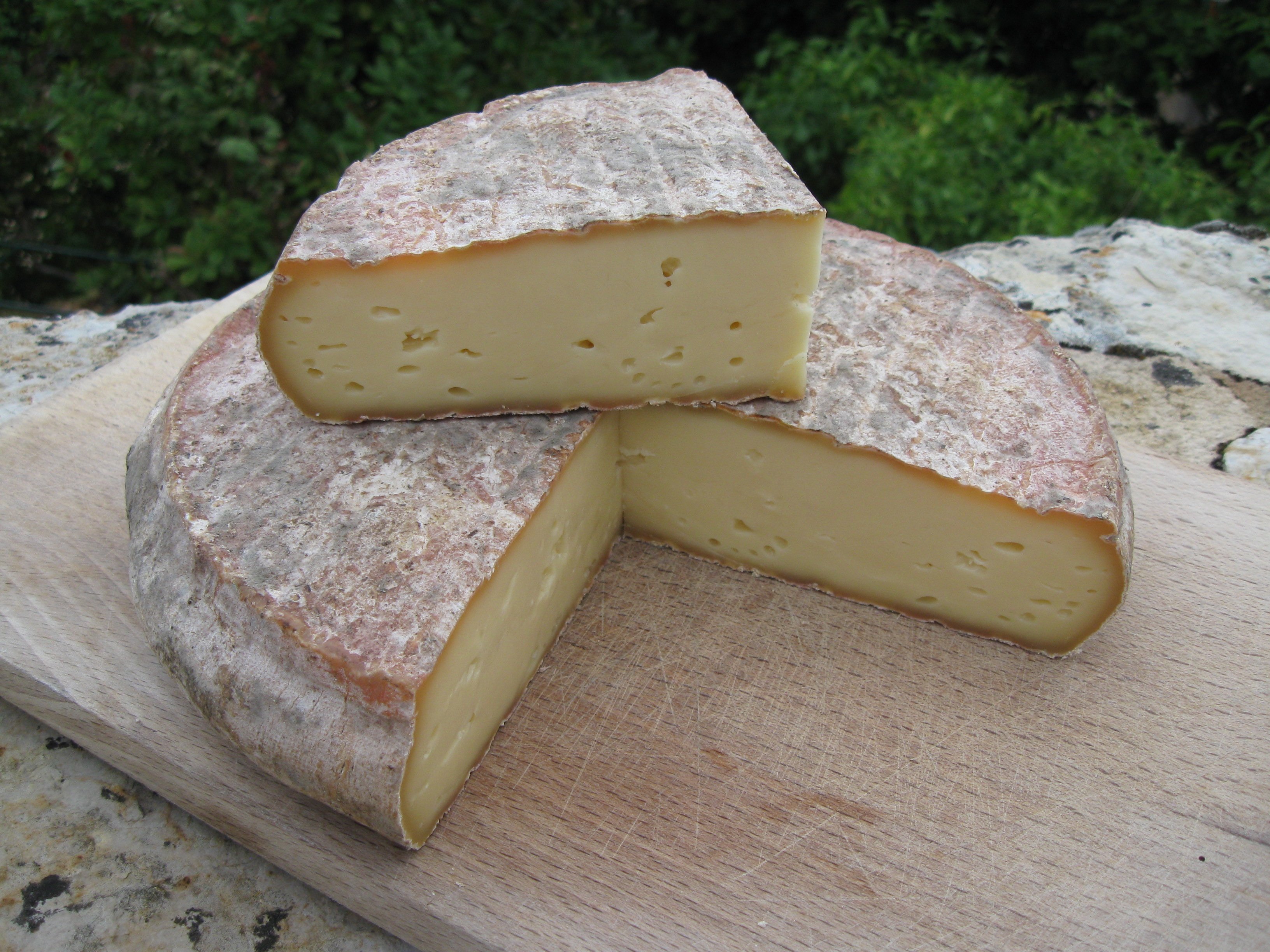 Saint-Nectaire : Fromage AOP Saint-Nectaire, photo fromage auvergnat à pâte molle