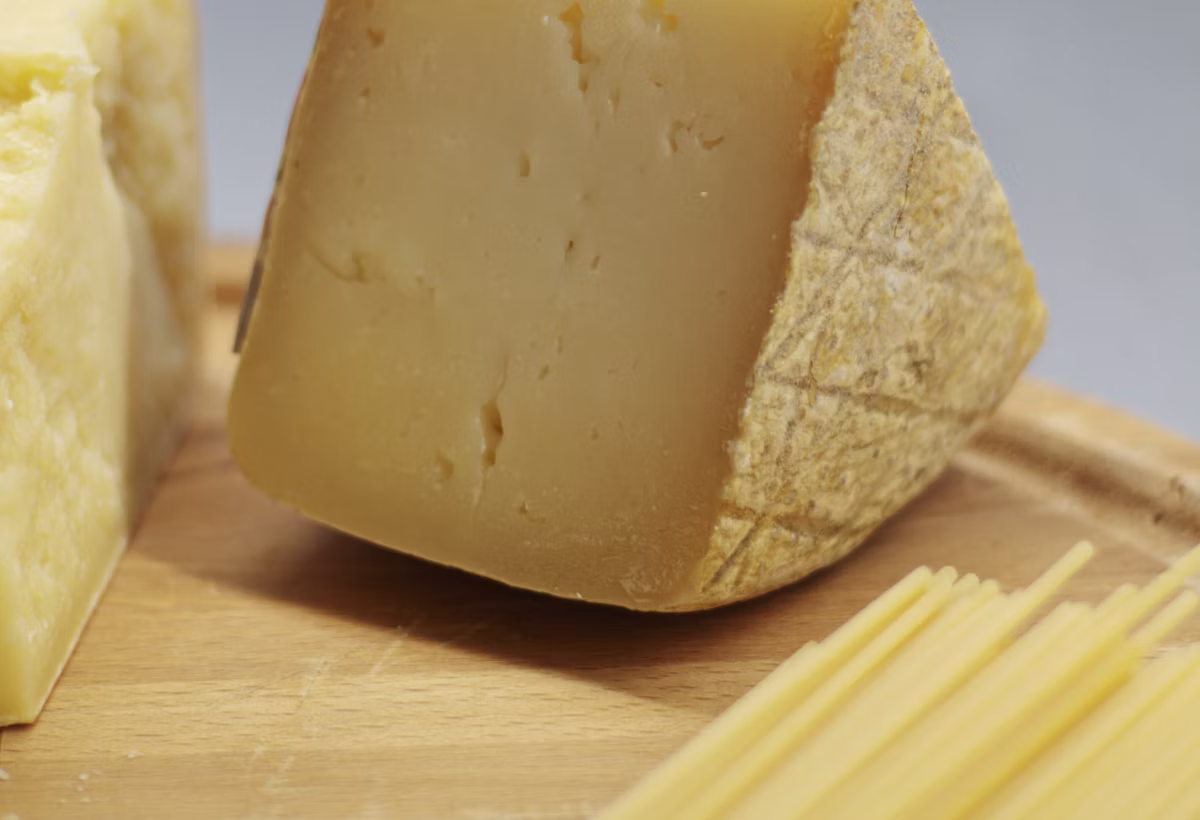 Fromage normand crémeux au lait de vache pour explorer la Normandie